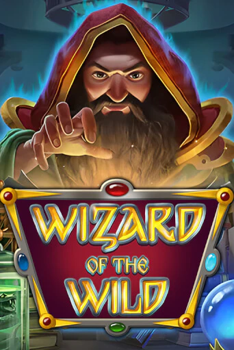 Wizard of the Wild демо онлайн | Вулкан Гранд бесплатная игра